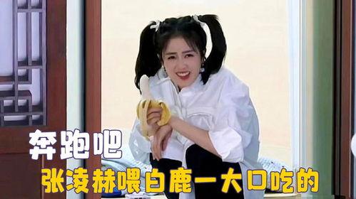 白鹿呵呵吃瓜图片,揭秘娱乐圈幕后真相