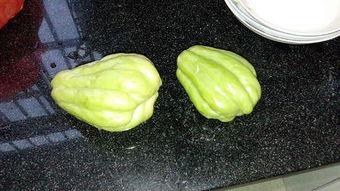 兔儿瓜可以吃不,探寻兔儿瓜的独特风味与营养价值