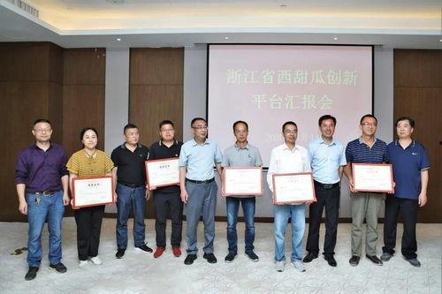 浙江商场吃瓜,一地鸡毛背后的社会现象解析