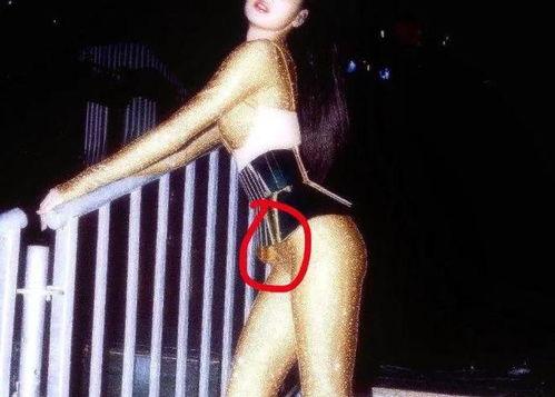 lisa吃瓜群众,瓜田里的明星，吃瓜群众的焦点