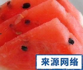 孕吐吃土瓜,土瓜的神奇功效与食用指南