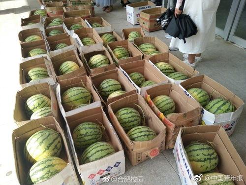 校园吃瓜网,揭秘校园热点事件，带你领略校园生活百态